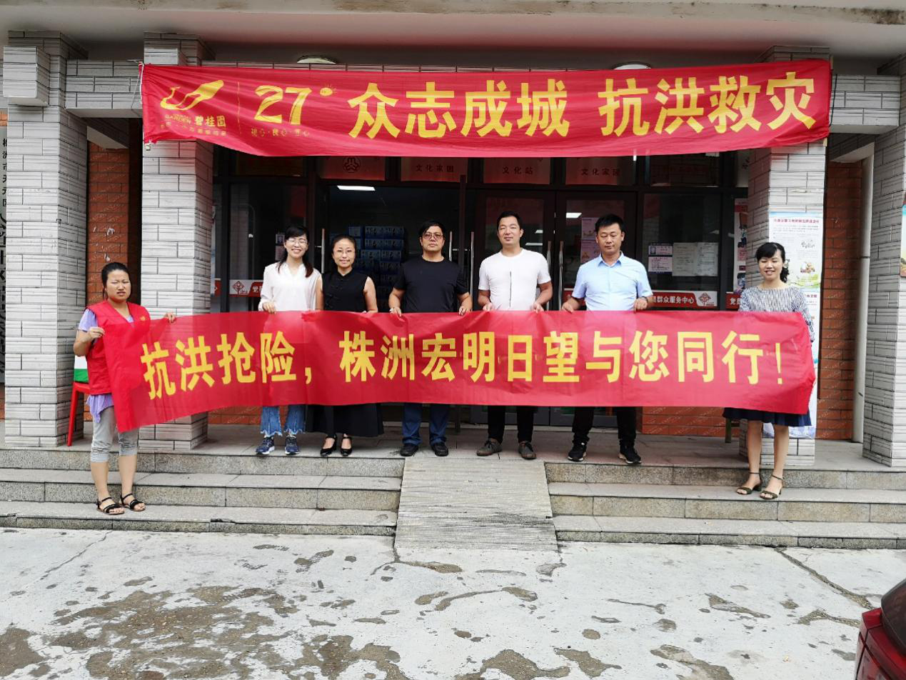 乐鱼平台,宏明日望,株洲电子科技,湖南电容器,株洲电容器,电容器