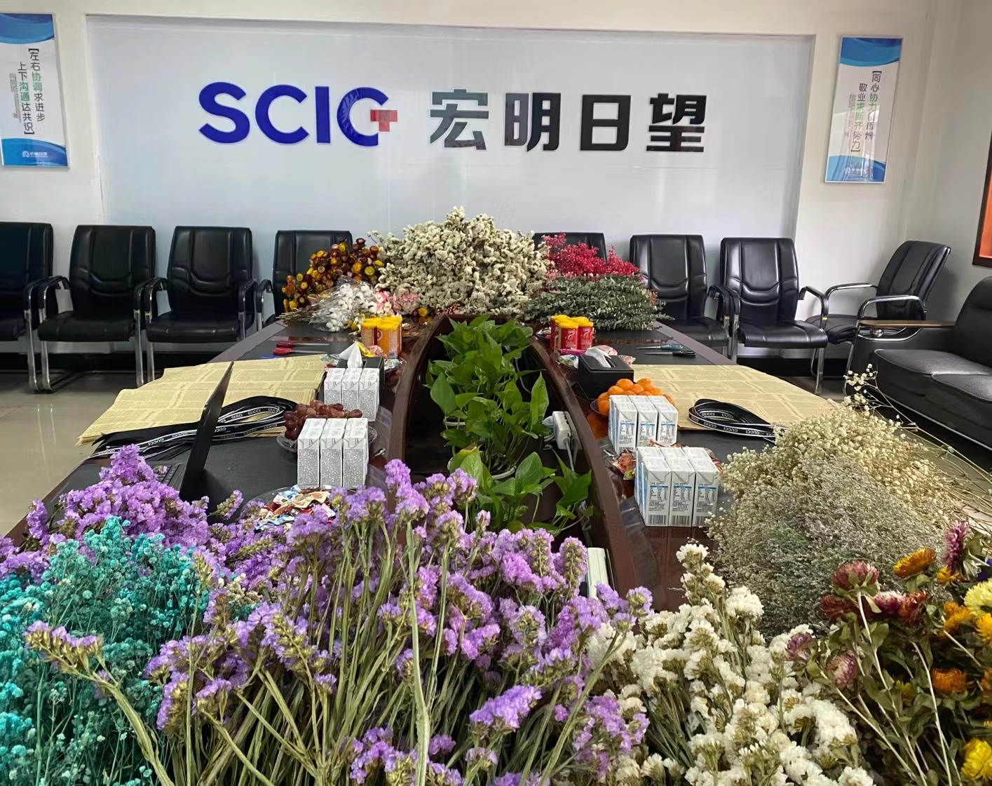 乐鱼平台,宏明日望,株洲电子科技,湖南电容器,株洲电容器,电容器