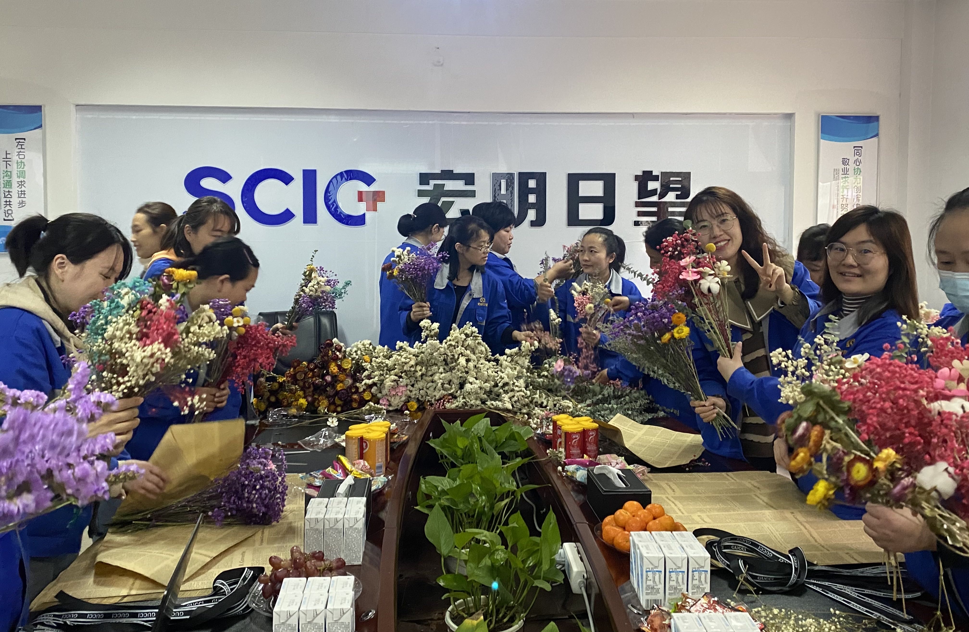 乐鱼平台,宏明日望,株洲电子科技,湖南电容器,株洲电容器,电容器